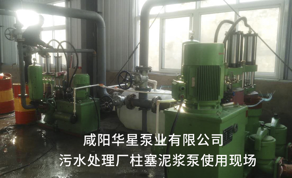 污(wū)水處(chù)理廠用陶瓷柱塞泥漿泵(bèng)